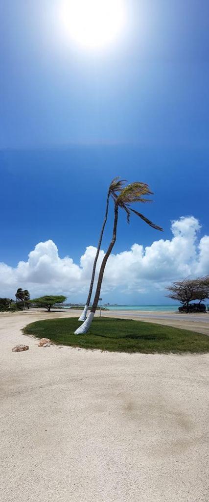 Aruba Beach Villas Palm Beach Exterior photo